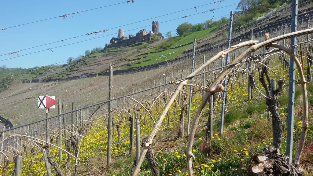 Winzerhof Brachtendorf Alken Eksteriør billede