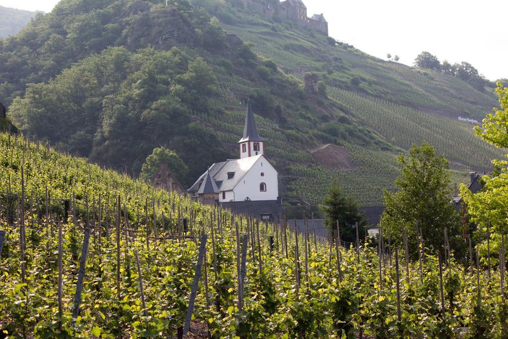 Winzerhof Brachtendorf Alken Eksteriør billede
